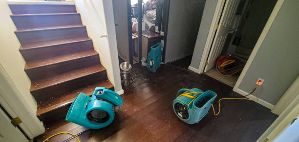 Best Water damage restoration insurance claims  in Sapulpa, OK